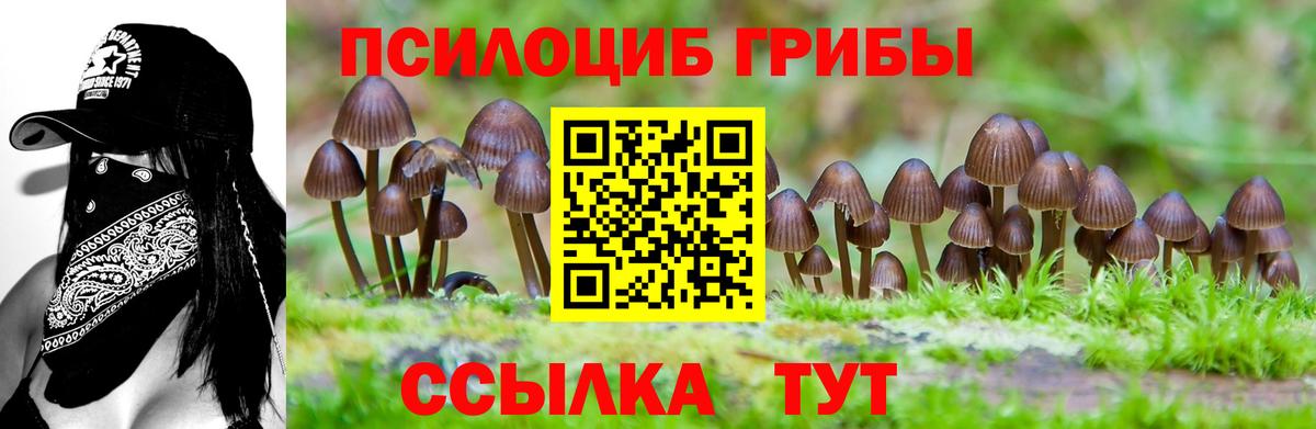 Псилоцибиновые грибы GOLDEN TEACHER  Вход с VPN  Псилоцибиновые грибы Psilocybe  Кушва 